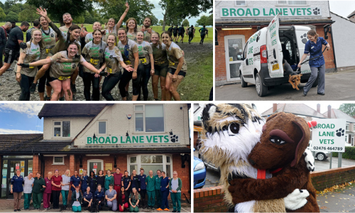 Broad Lane Vets