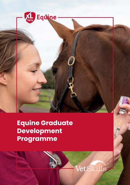 XLVets Equine Graduate Development Programme Brochure