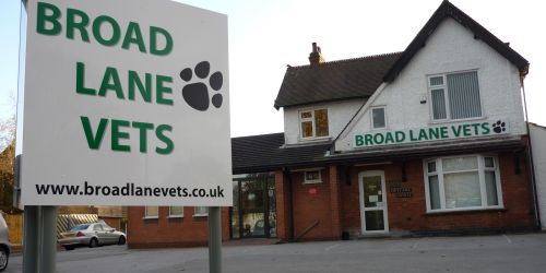 Award-winning Broad Lane Vets becomes latest practice to join the XLVet community