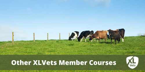 Other XLVets Member Courses