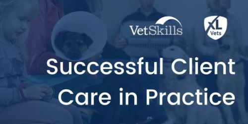 Successful Client Care in Practice