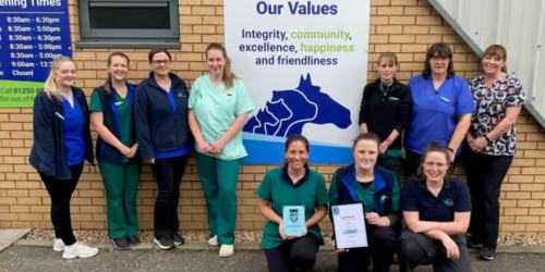 Thrums Vets Named One of the UK’s Best Employers