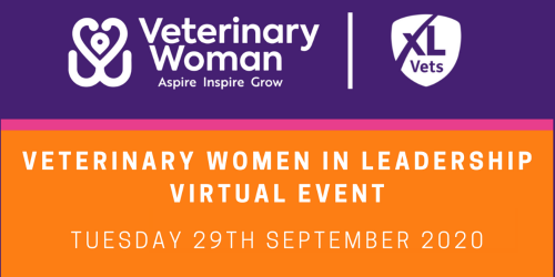 Confidence Boost for Attendees of Veterinary Women in Leadership virtual event
