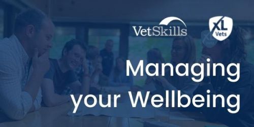 Managing your Wellbeing