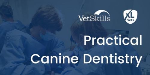 Practical Canine Dentistry