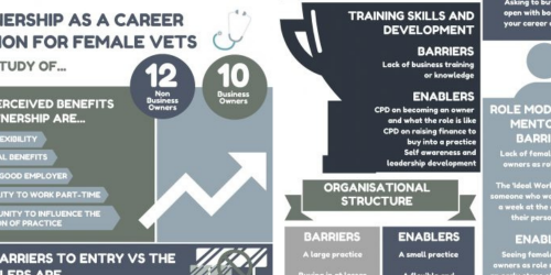 Call for participants as XLVets builds on women in leadership study with new focus groups